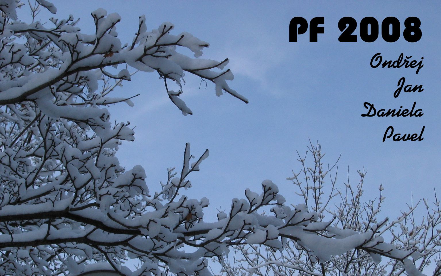 PF 2008