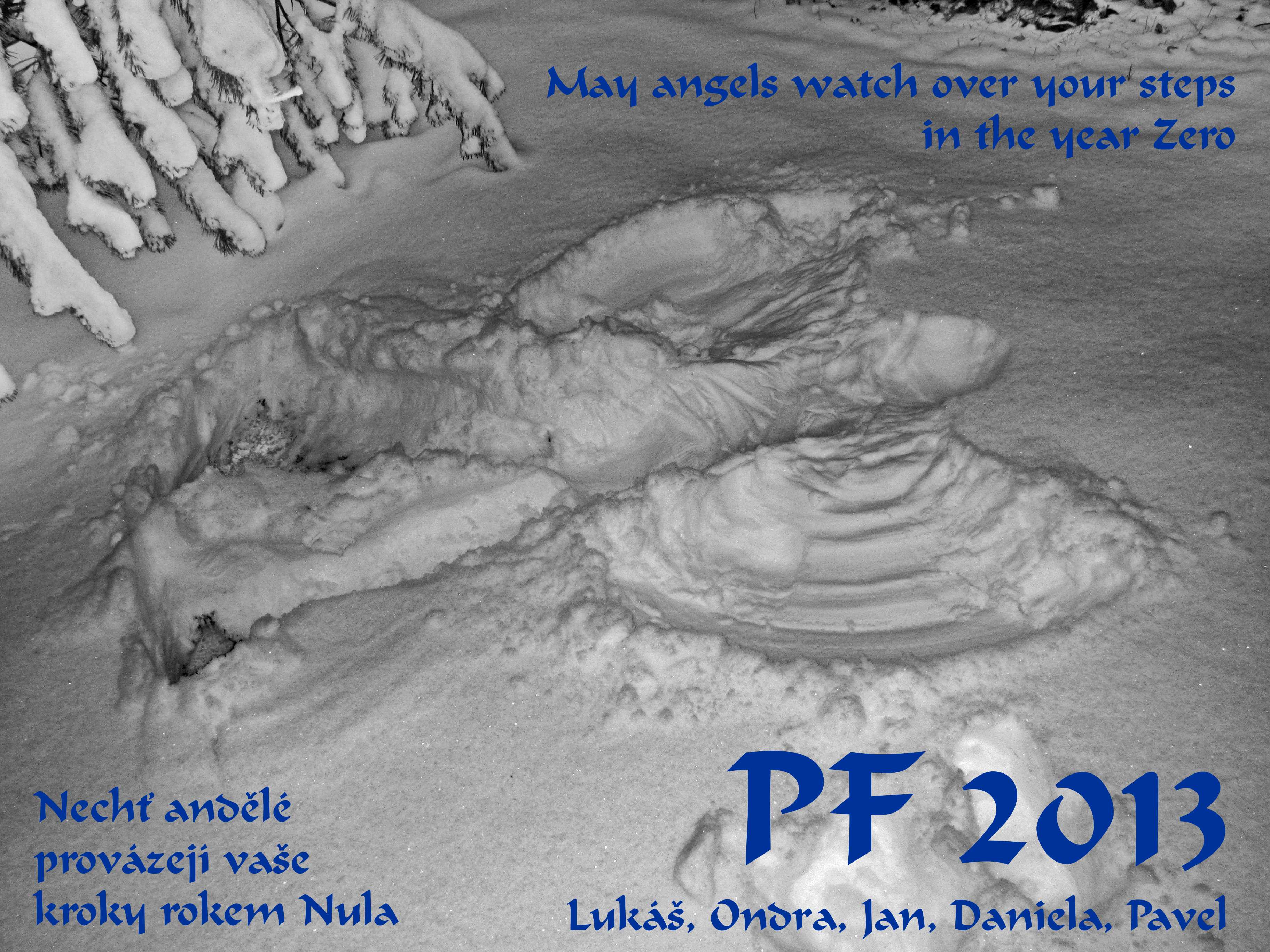 PF 2013